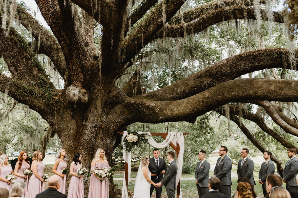 mayor tree wedding ceremony