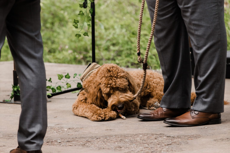 Apgar Amphitheater Wedding in Glacier National Park