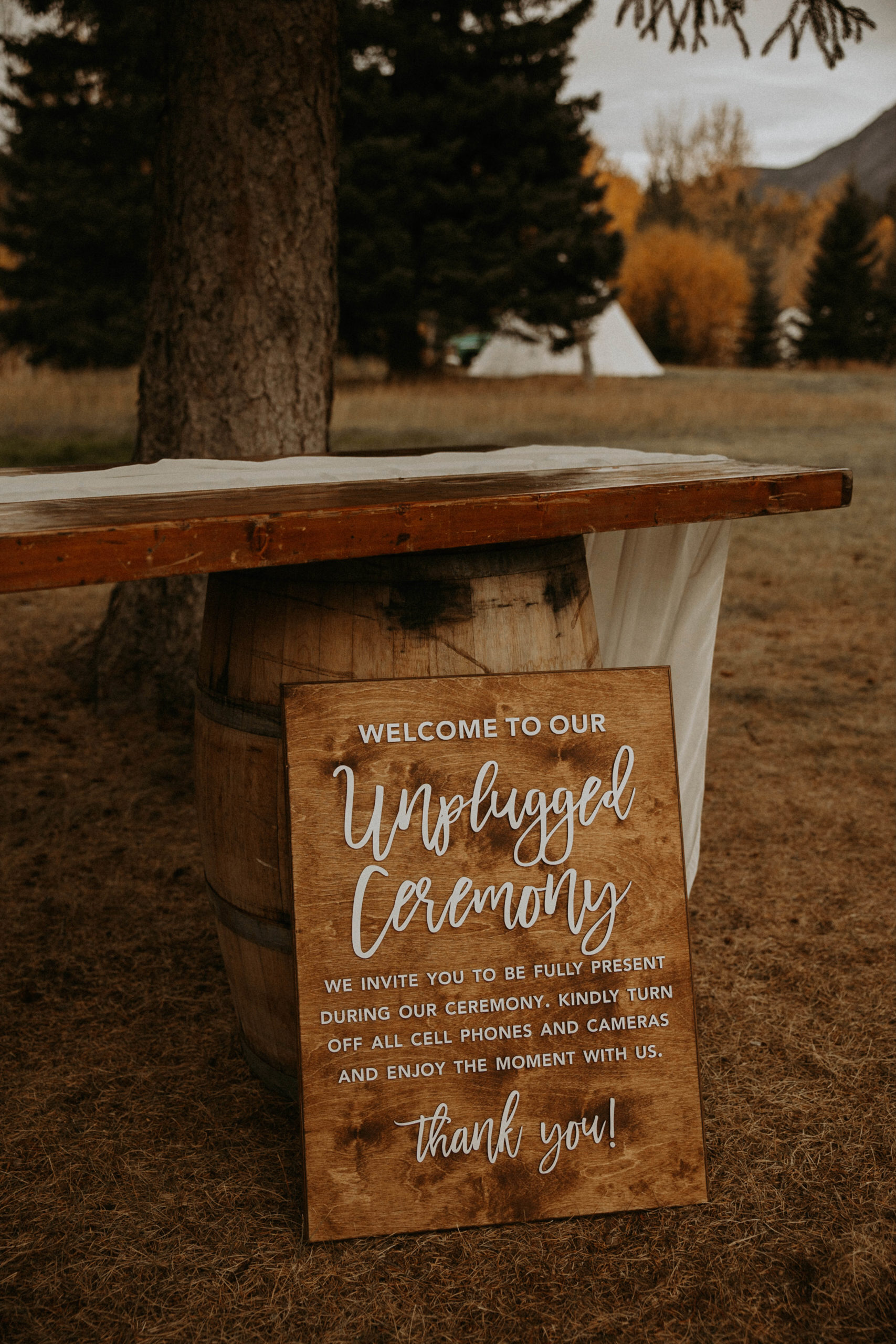 Unplugged ceremony sign as simple wedding decor